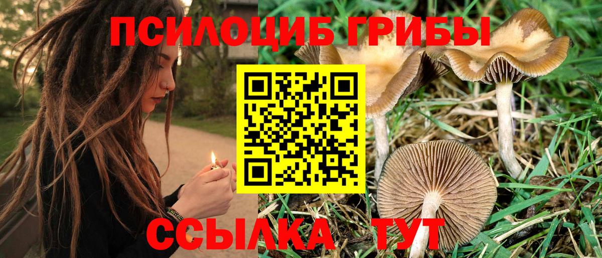 Псилоцибиновые грибы Psilocybe  Вход с VPN  Галлюциногенные грибы MAGIC MUSHROOMS  Кировск 
